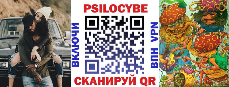 shop наркотические препараты  Сунжа  Псилоцибиновые грибы Psilocybe 