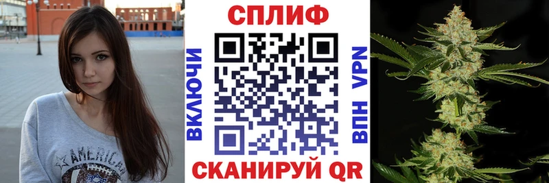Конопля ГИДРОПОН  Сунжа 